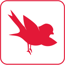 birdsnest Arrivals screen logo